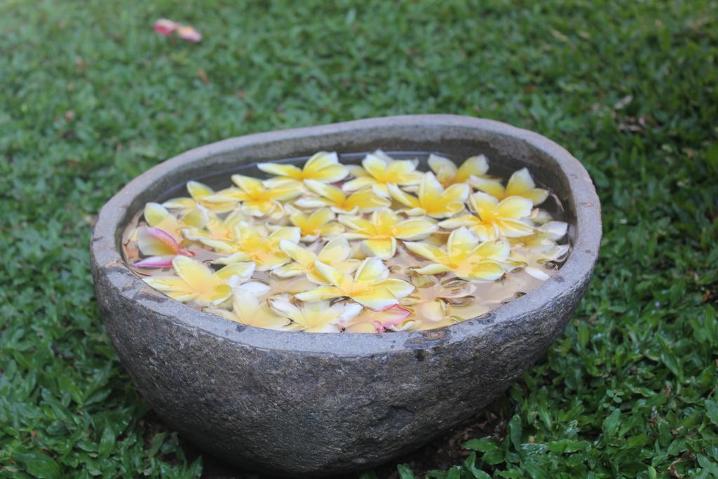 Odah Ayu Guest House Ubud Buitenkant foto